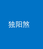 百色阴阳风水化煞四十二——独阳煞
